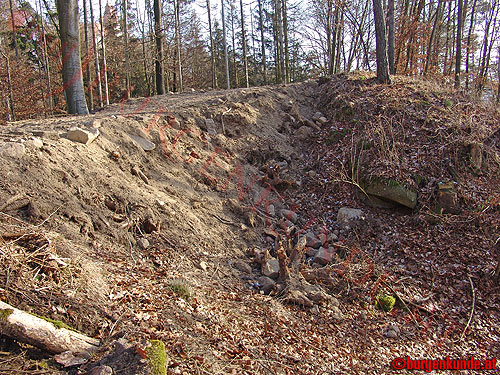 Burgstall Alt-Hagenberg / Oberösterreich