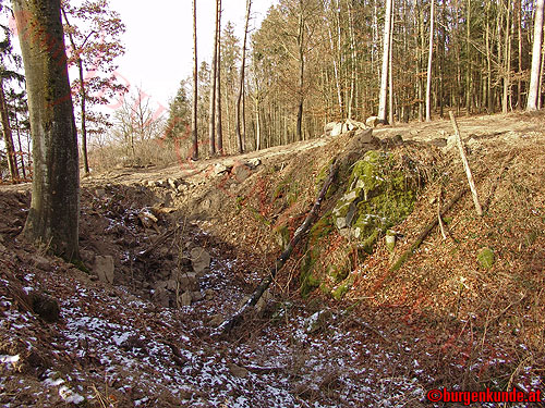 Burgstall Alt-Hagenberg / Oberösterreich