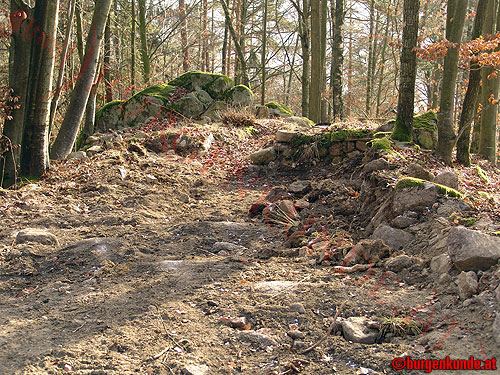 Burgstall Alt-Hagenberg / Oberösterreich