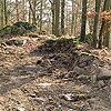 Burgstall Alt-Hagenberg / Oberösterreich