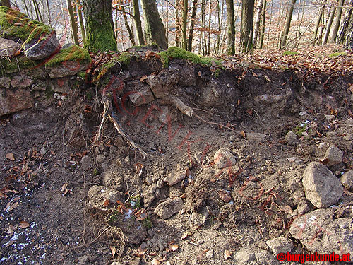 Burgstall Alt-Hagenberg / Oberösterreich