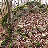 Burgstall Alt-Hagenberg / Oberösterreich