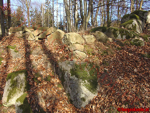 Burgstall Alt-Hagenberg / Oberösterreich