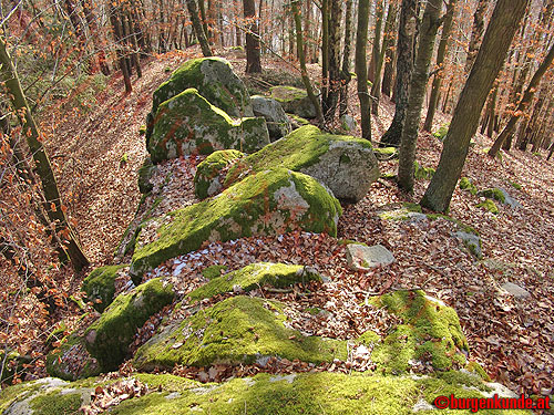 Burgstall Alt-Hagenberg / Oberösterreich