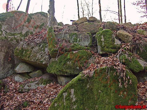 Burgstall Alt-Hagenberg / Oberösterreich