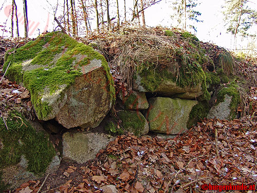 Burgstall Alt-Hagenberg / Oberösterreich