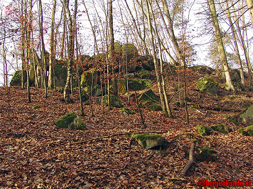 Burgstall Alt-Hagenberg / Oberösterreich