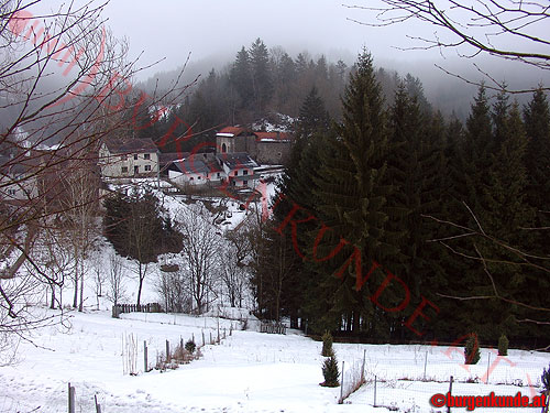 Burg Tannberg / Oberösterreich