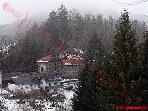 Burg Tannberg / Oberösterreich