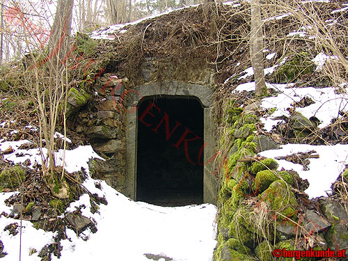 Burg Tannberg / Oberösterreich