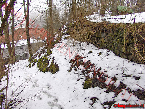 Burg Tannberg / Oberösterreich