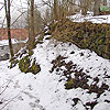 Burg Tannberg / Oberösterreich