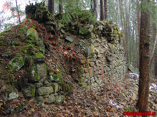 Burg Tannberg / Oberösterreich