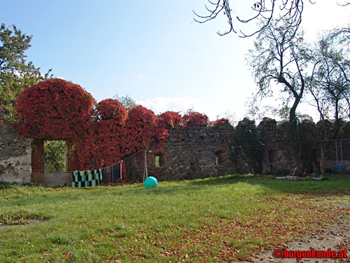 Schloss und Ruine Eschelberg in Oberösterreich