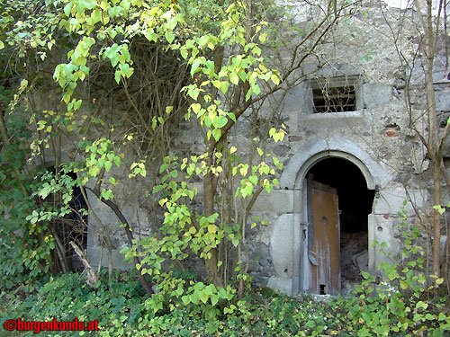 Schloss und Ruine Eschelberg in Oberösterreich