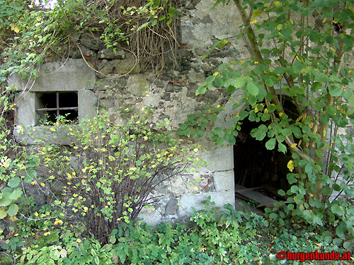 Schloss und Ruine Eschelberg in Oberösterreich