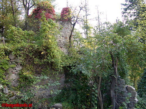 Schloss und Ruine Eschelberg in Oberösterreich