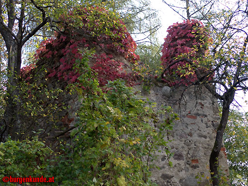 Schloss und Ruine Eschelberg in Oberösterreich