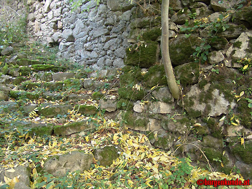 Schloss und Ruine Eschelberg in Oberösterreich