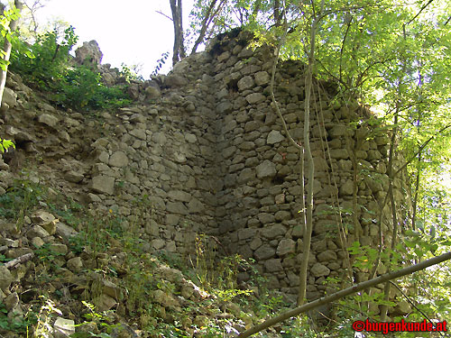 Schloss und Ruine Eschelberg in Oberösterreich