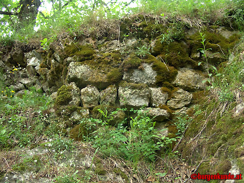 Ruine Rotenfels od. Alt-Waxenberg / Oberösterreich