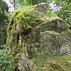 Ruine Rotenfels od. Alt-Waxenberg in Oberösterreich