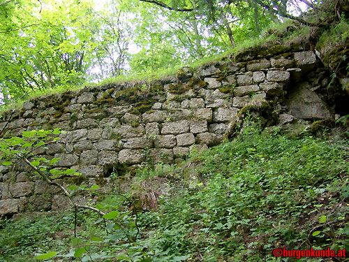 Ruine Rotenfels od. Alt-Waxenberg / Oberösterreich