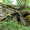 Ruine Rotenfels od. Alt-Waxenberg in Oberösterreich