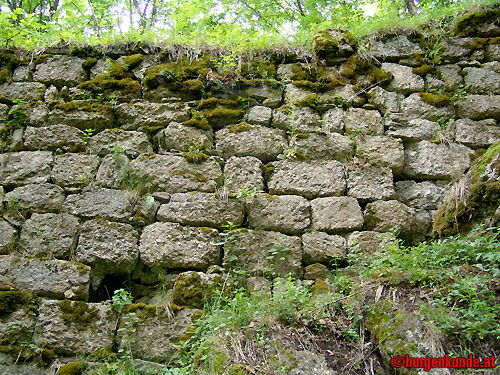 Ruine Rotenfels od. Alt-Waxenberg / Oberösterreich