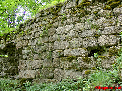 Ruine Rotenfels od. Alt-Waxenberg / Oberösterreich