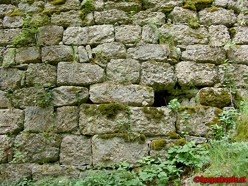 Ruine Rotenfels od. Alt-Waxenberg / Oberösterreich