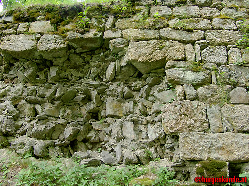 Ruine Rotenfels od. Alt-Waxenberg / Oberösterreich