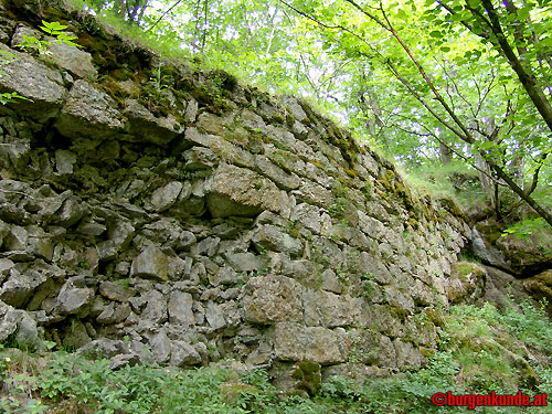 Ruine Rotenfels od. Alt-Waxenberg / Oberösterreich
