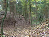 Burgstall Hausberg Wasenberg / Oberösterreich