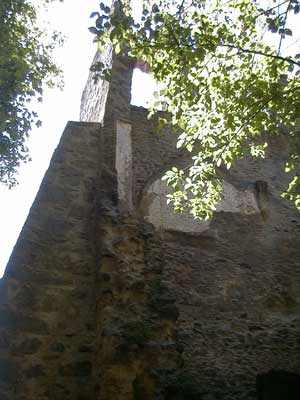 Burgruine Reichenau