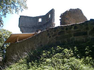 Burgruine Reichenau