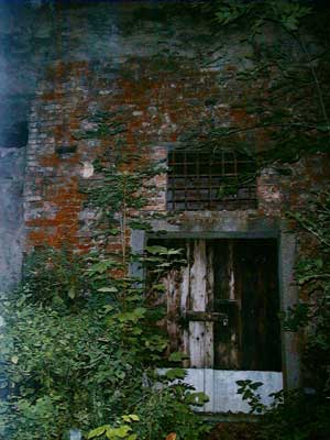 Ruine Dachsberg