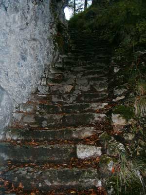 Ruine Scharnstein