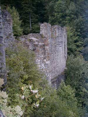 Ruine Scharnstein