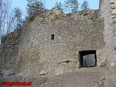 Burgruine Ruttenstein / Oberösterreich