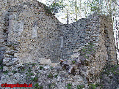 Burgruine Ruttenstein / Oberösterreich