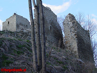 Burgruine Ruttenstein / Oberösterreich