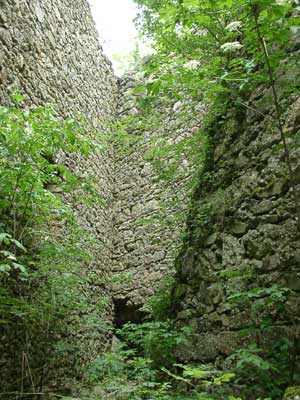 Ruine Ruttenstein