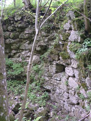 Ruine Ruttenstein