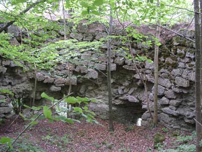 Ruine Ruttenstein