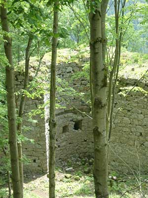 Ruine Ruttenstein