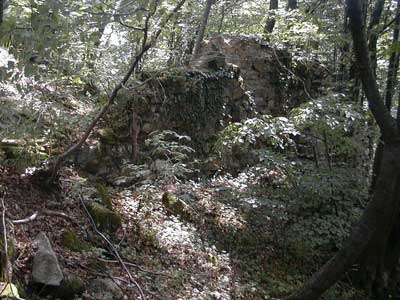 Ruine Säbnich