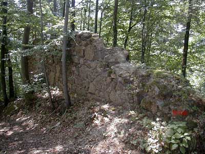 Ruine Säbnich