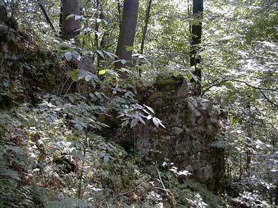 Ruine Säbnich