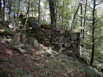 Ruine Säbnich